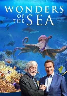 Wonders of the Sea