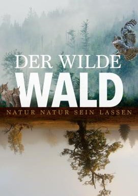 Der wilde Wald - Natur Natur sein lassen